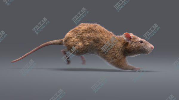 images/goods_img/20210312/Rat Fur Animated 2 model/3.jpg